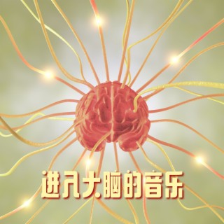 进入大脑的音乐:提升专注力、记忆力、情绪稳定和学习成绩的脑电波音乐