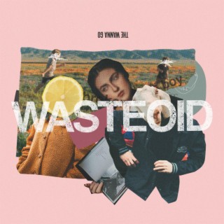Wasteoid