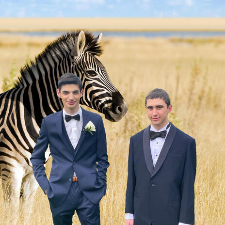 The best song i have ever made cover art