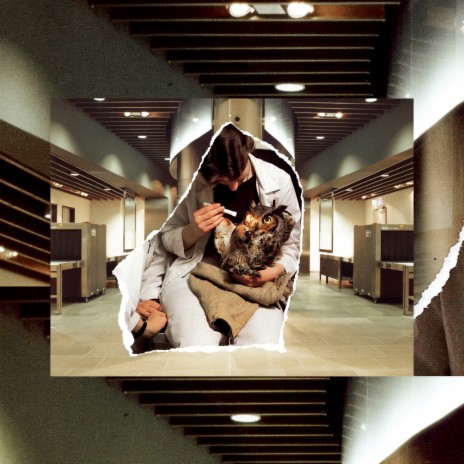 The Use Of My Belonging cover art