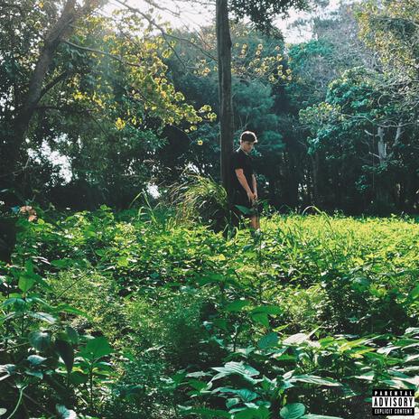 More Life cover art