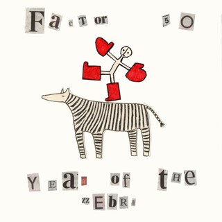 Year of the Zebra cover art