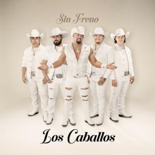 Sin Freno
