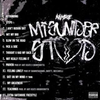 Misunderstood