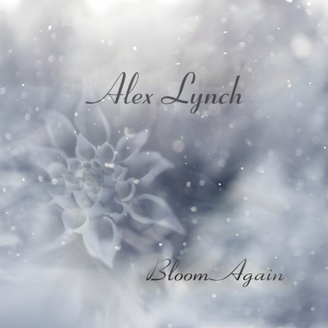 Like Feathers cover art