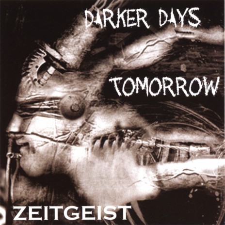 Zeitgeist (Velvet Acid Christ Loomis Mix) cover art