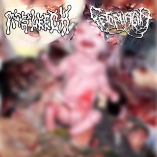 Split With Fetophagia
