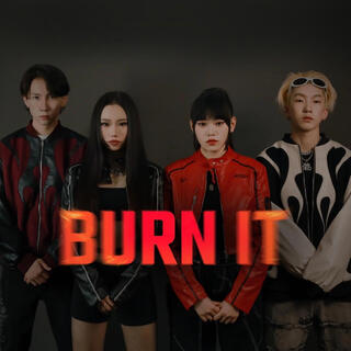 Burn it cover art