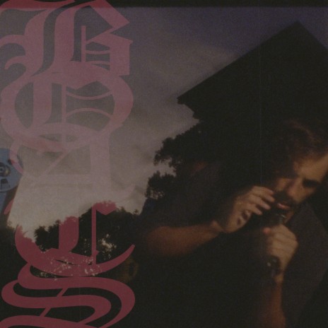 Bats Of Mullumbimby cover art