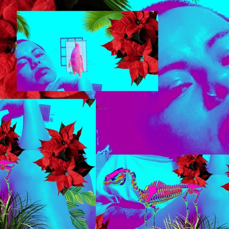 vacío