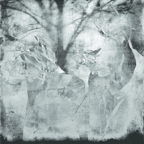 Life Race cover art