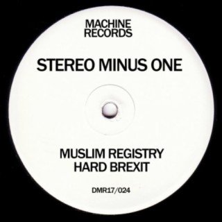 Stereo Minus One