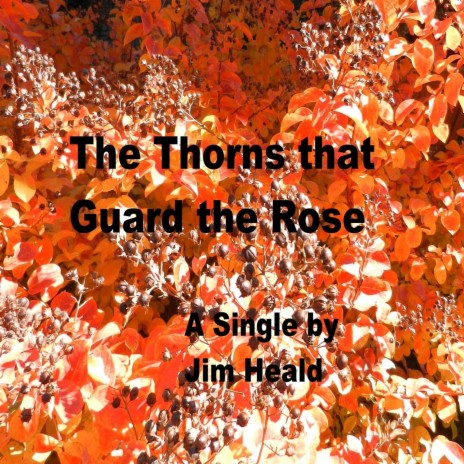The Thorns That Guard the Rose (Remix) cover art