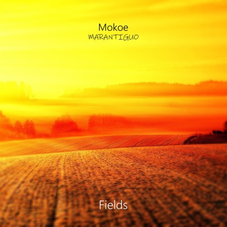 Fields (Instrumental Version) ft. Mokoe