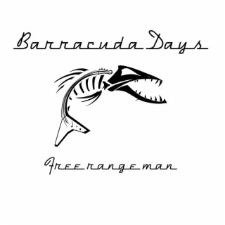 Barracuda Days