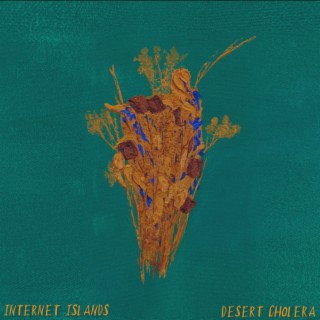 Internet Islands