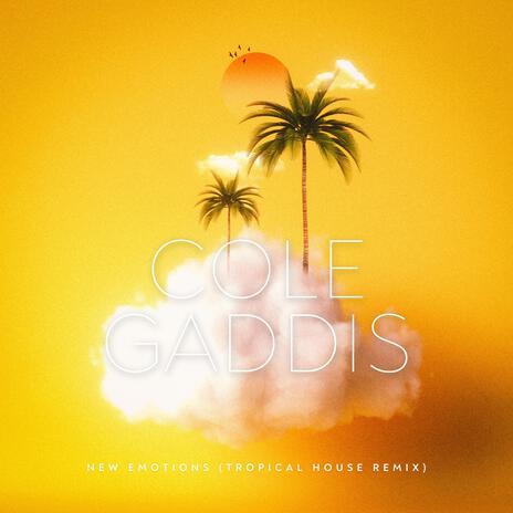 New Emotions (Tropical House Remix) cover art