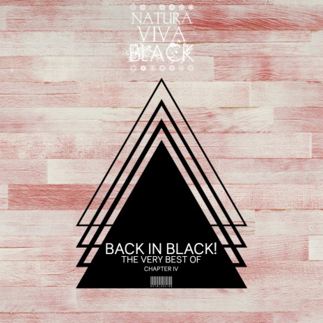 In the Future (Barbuto Remix) cover art