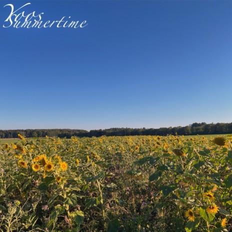 Distance cover art