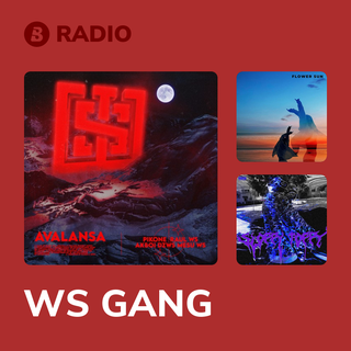 WS GANG Radio