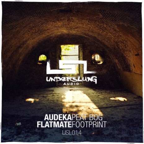 Peat Bog (Original Mix) cover art