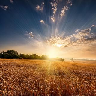 Positive Energy Meditation