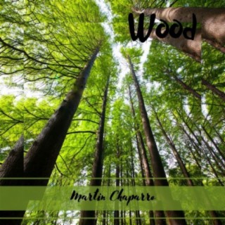 Wood cover art