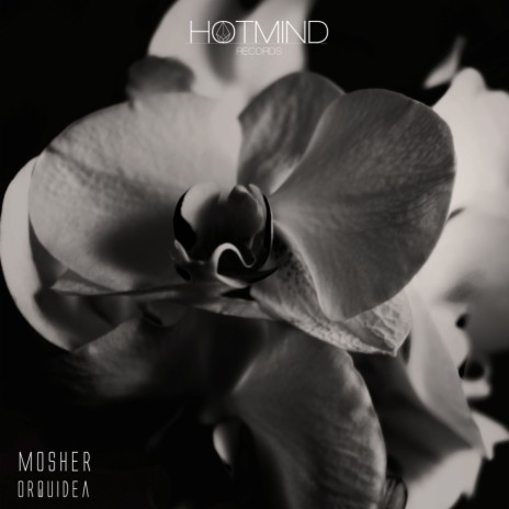 Orquidea (Original Mix)