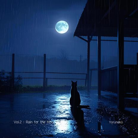 Midnight Rainfall cover art