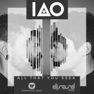 All That You Seek cover art