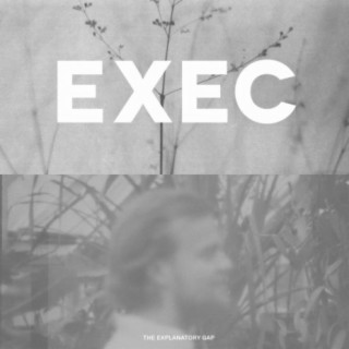The Explanatory Gap cover art