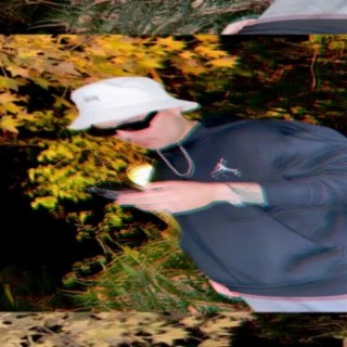 VIEL
