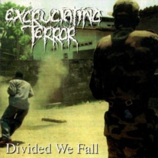 Divided We Fall