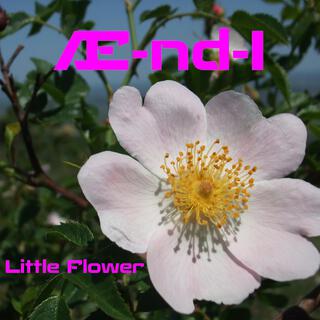 Little Flower cover art