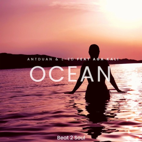 Ocean ft. L-ED & Aga Kalinowska cover art