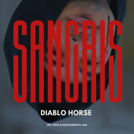 Diablo Horse (Rave Mix) cover art