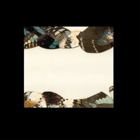 Butterfly Girl (Pantha Du Prince Lost the Beat) cover art