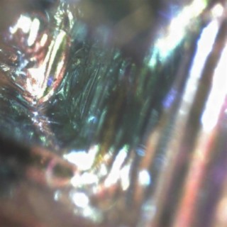 Louis Edward Francis David Michael Mills