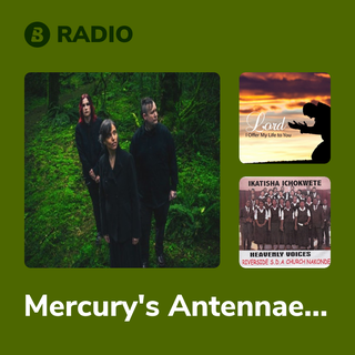 Mercury's Antennae Radio