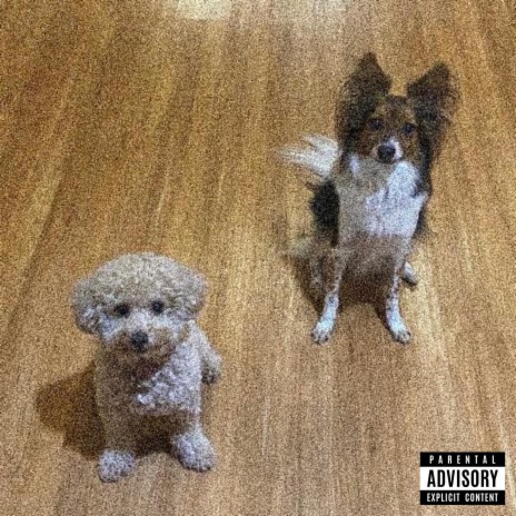 Dawg cover art