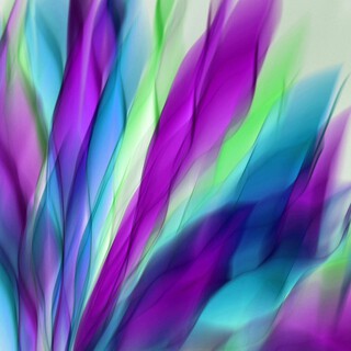 shine color