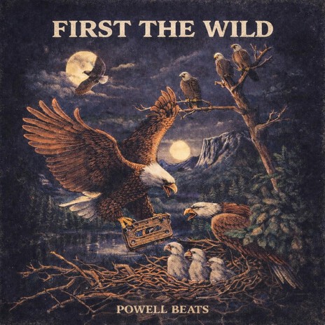 NIGHT LAKE