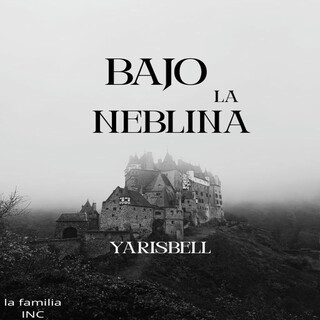 bajo la neblina