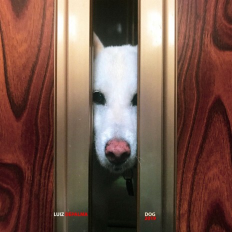 Bounced cover art