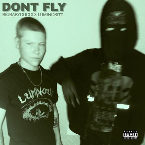 DONT FLY ft. BIGBABYGUCCI cover art