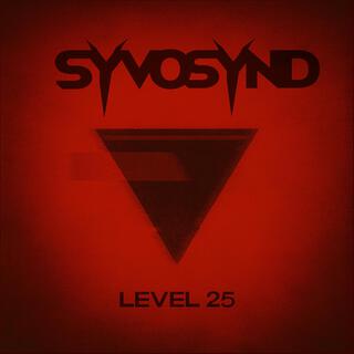 Level 25