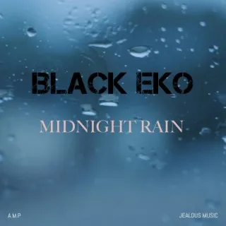 The beach cover art