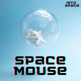 Into Space