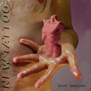 Gut Model