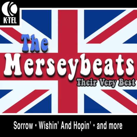 Wishin' and Hopin' (Rerecorded) cover art